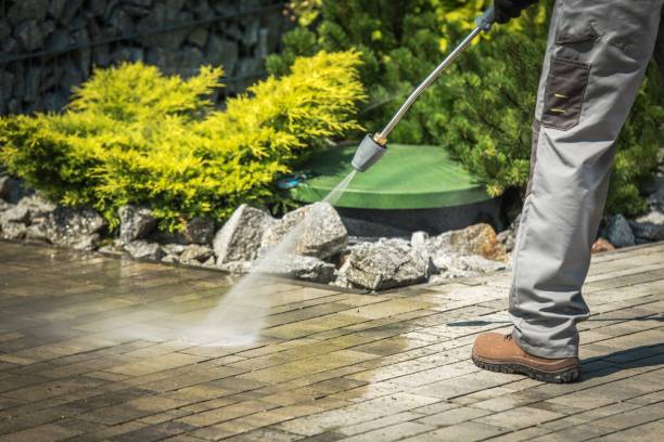 Best Oil Spill Cleanup  in Chicago Heights, IL